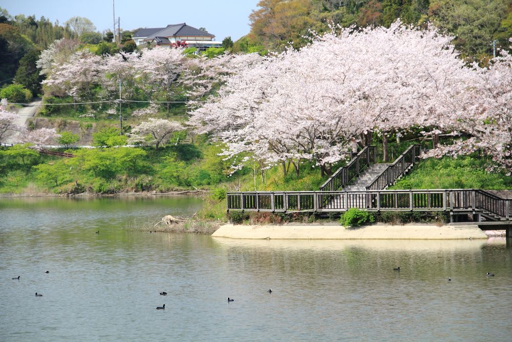 佐久間ダム湖親水公園の画像 - 3枚目