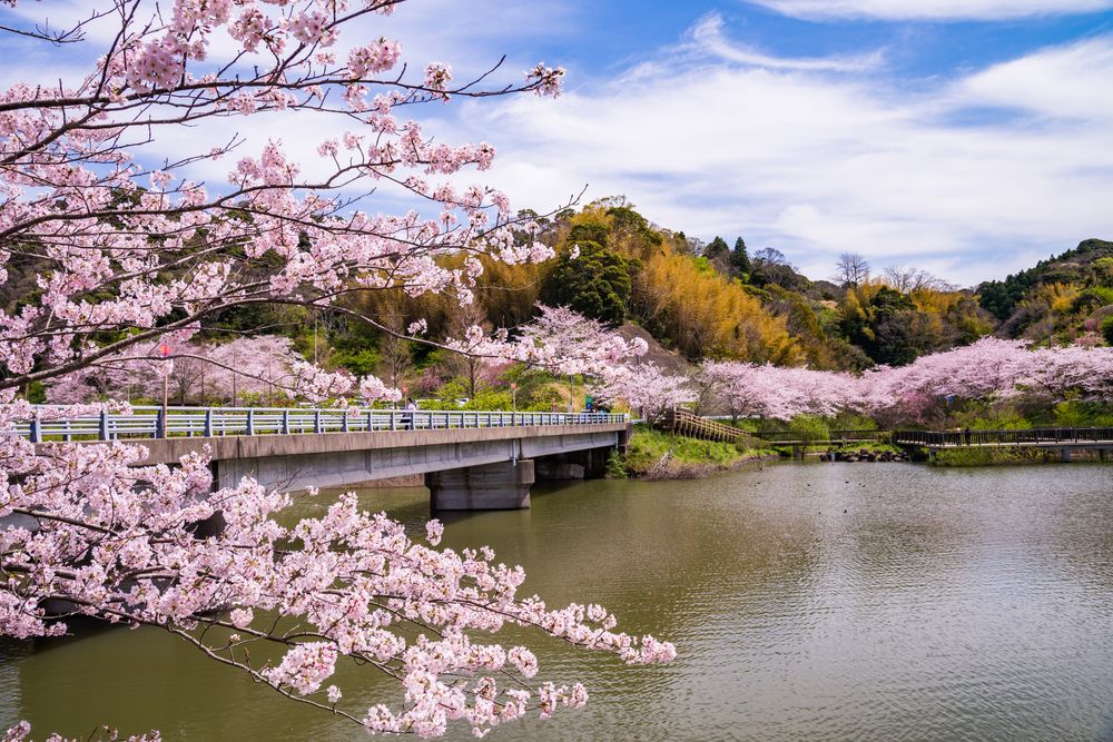 佐久間ダム湖親水公園の画像 - 4枚目