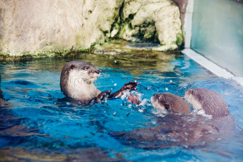 サンシャイン水族館の画像 - 2枚目