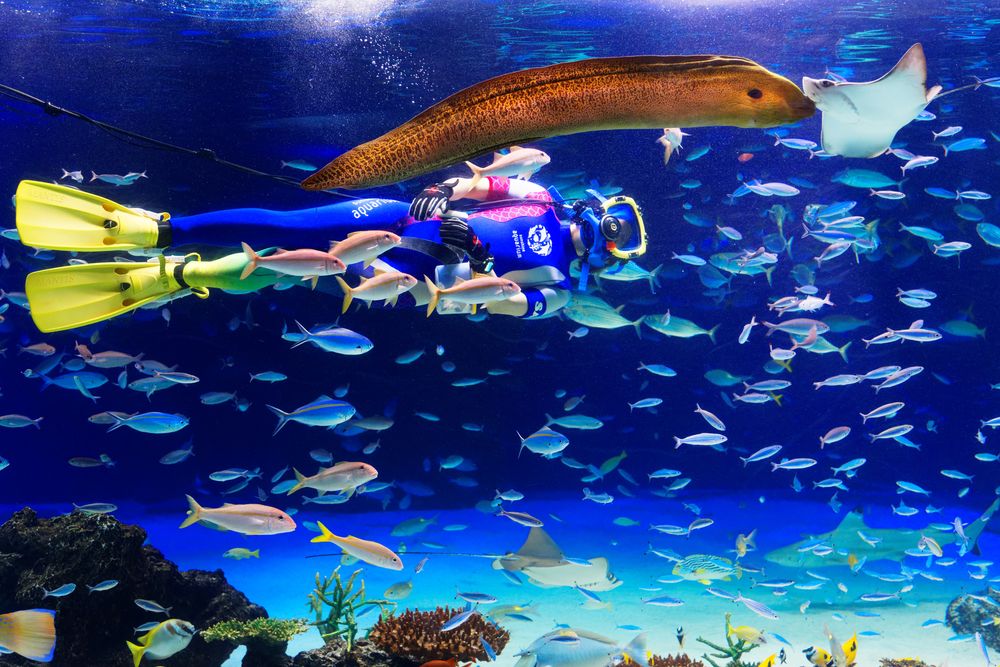 サンシャイン水族館の画像 - 4枚目