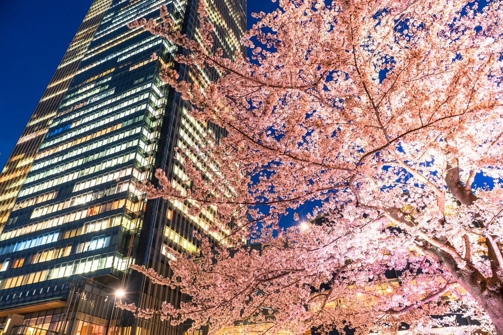 東京ミッドタウンの画像 - 4枚目