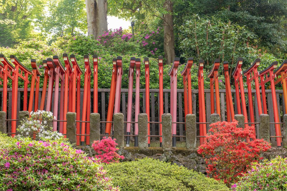 根津神社の画像 - 5枚目