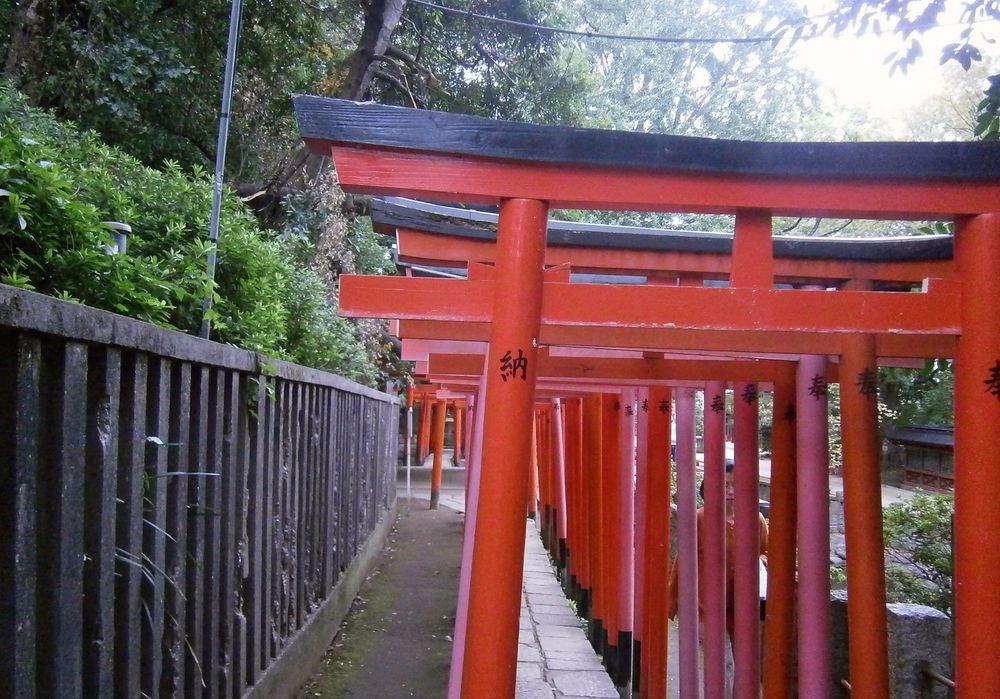 根津神社の画像 - 6枚目