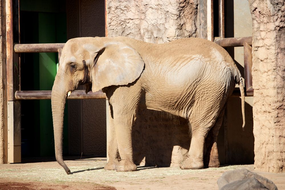 多摩動物公園の画像 - 2枚目