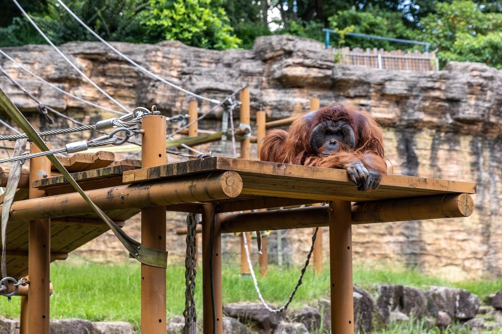 多摩動物公園の画像 - 5枚目