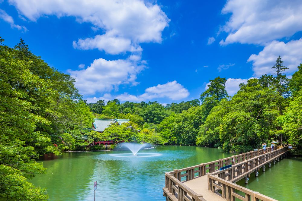 都立井の頭恩賜公園の画像 - 2枚目