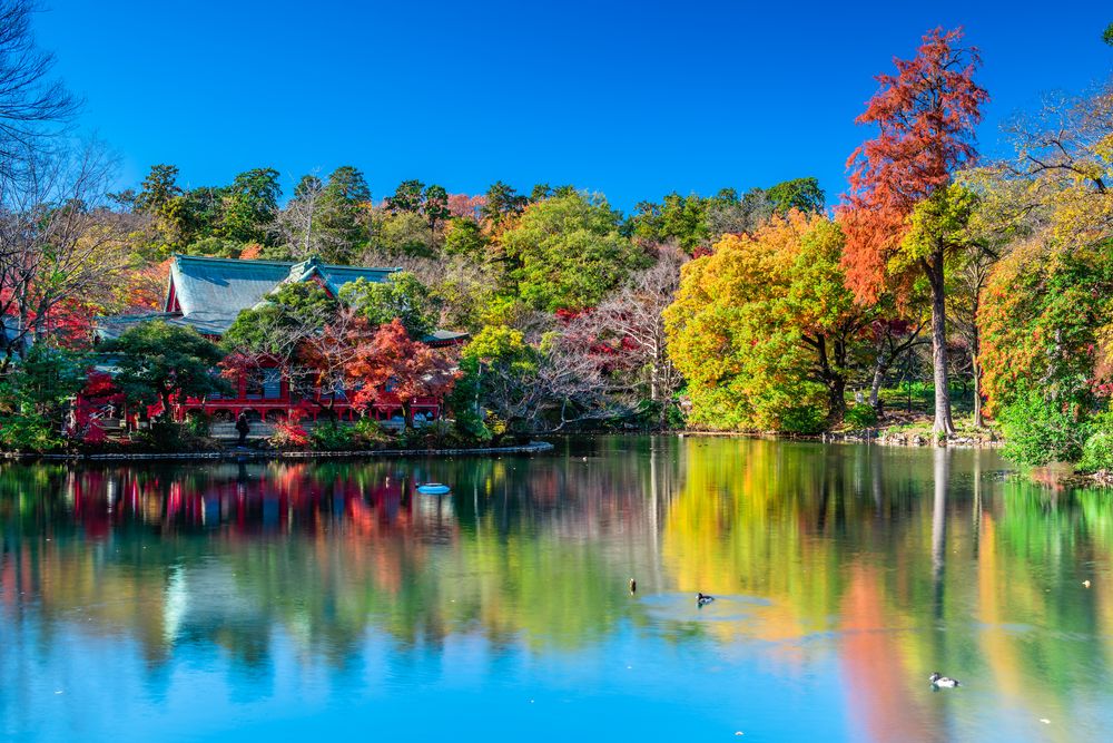 都立井の頭恩賜公園の画像 - 3枚目