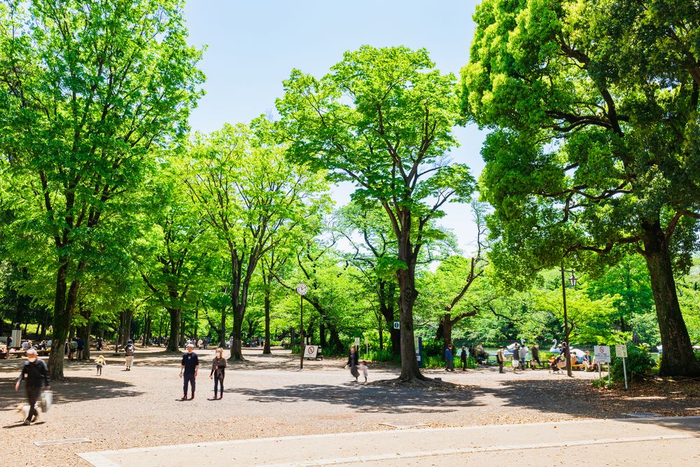 都立井の頭恩賜公園の画像 - 5枚目
