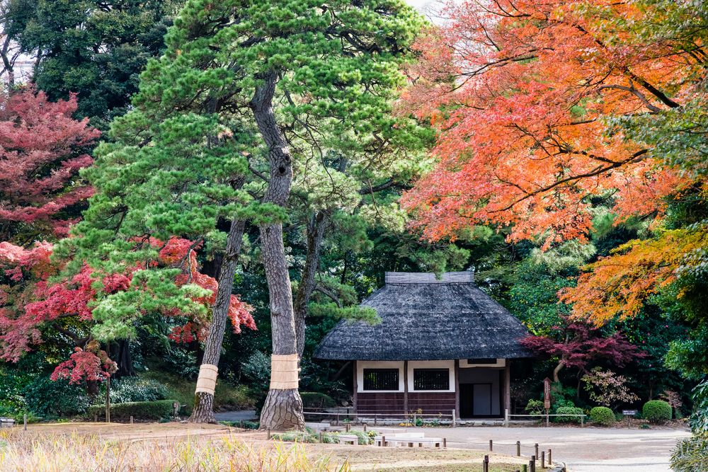 小石川後楽園の画像 - 3枚目