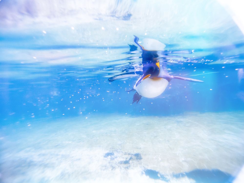 葛西臨海水族園の画像 - 2枚目