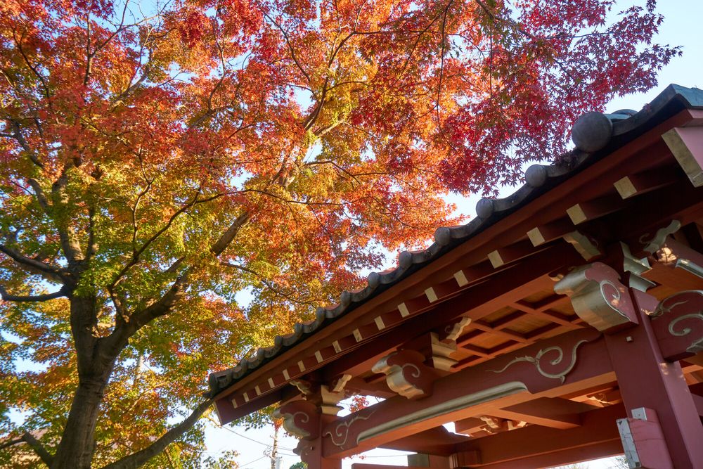 回向院の画像 - 5枚目