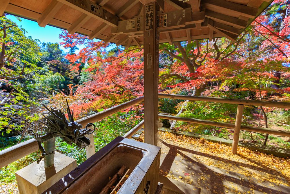 等々力不動尊 明王院の画像 - 5枚目