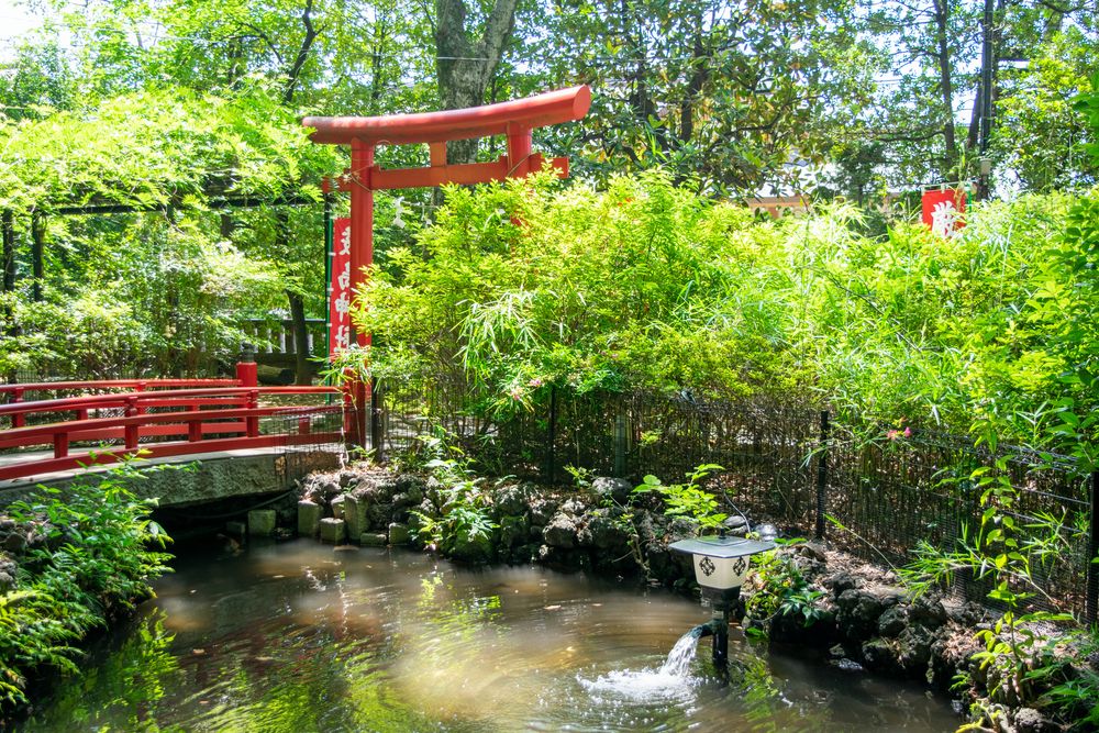 世田谷八幡宮の画像 - 3枚目