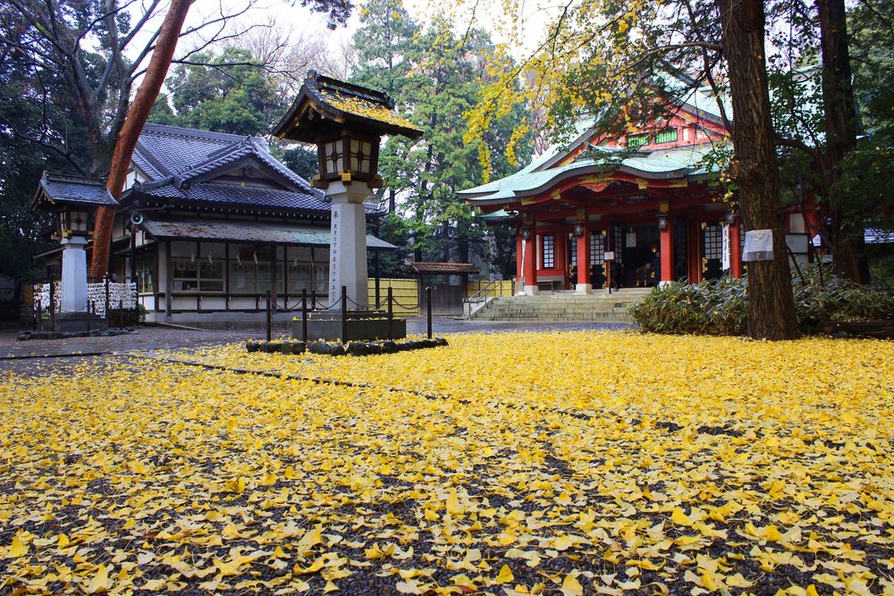 世田谷八幡宮の画像 - 5枚目