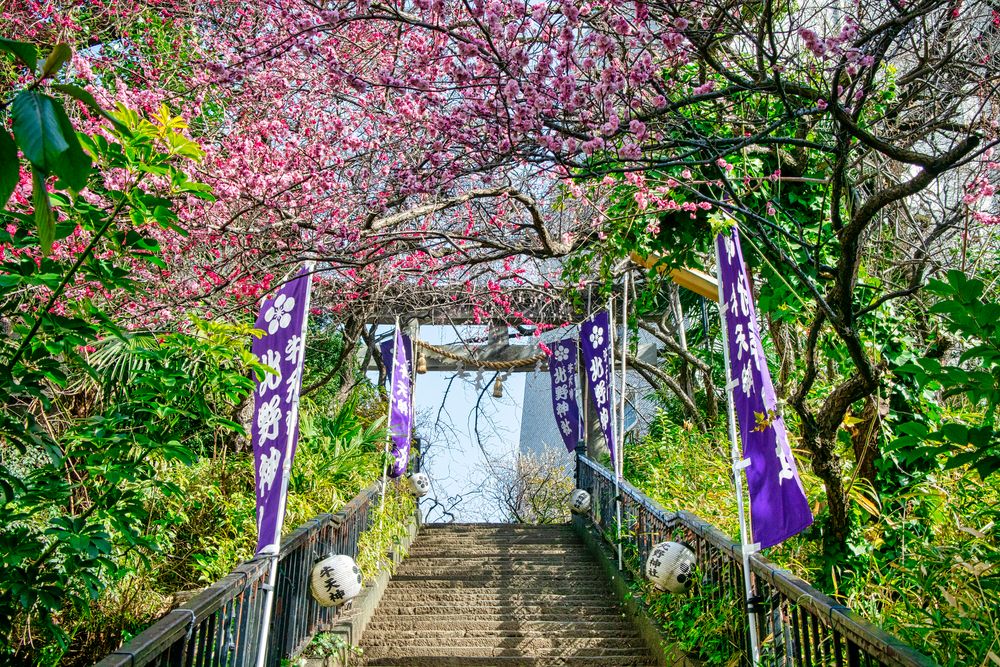 牛天神北野神社の画像 - 2枚目
