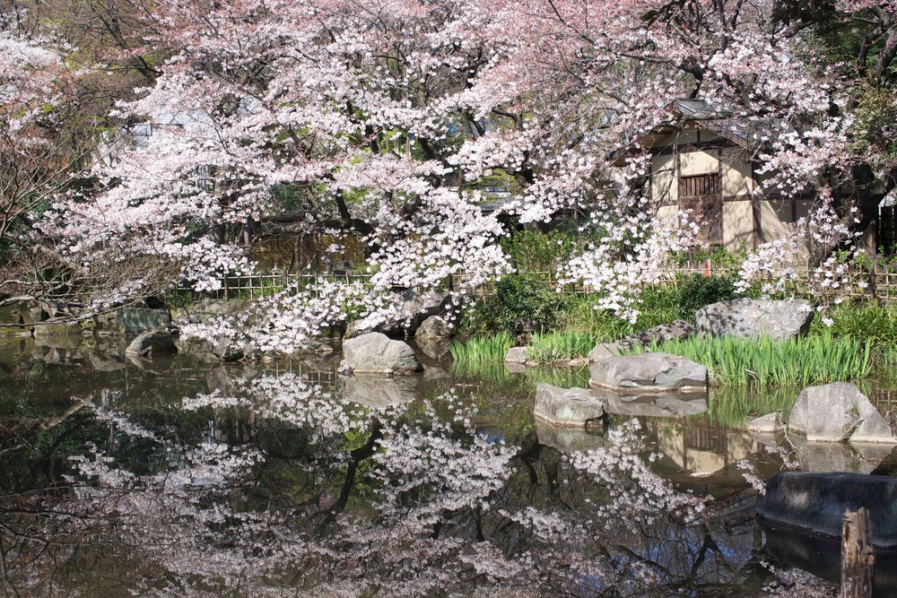 名主の滝公園の画像 - 4枚目