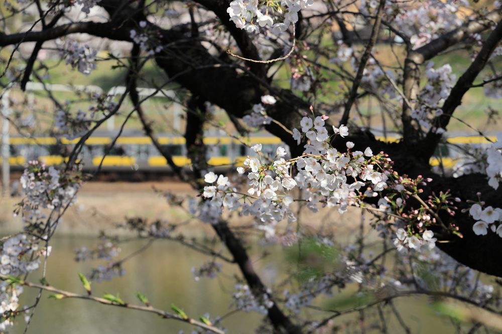外濠公園の画像 - 4枚目