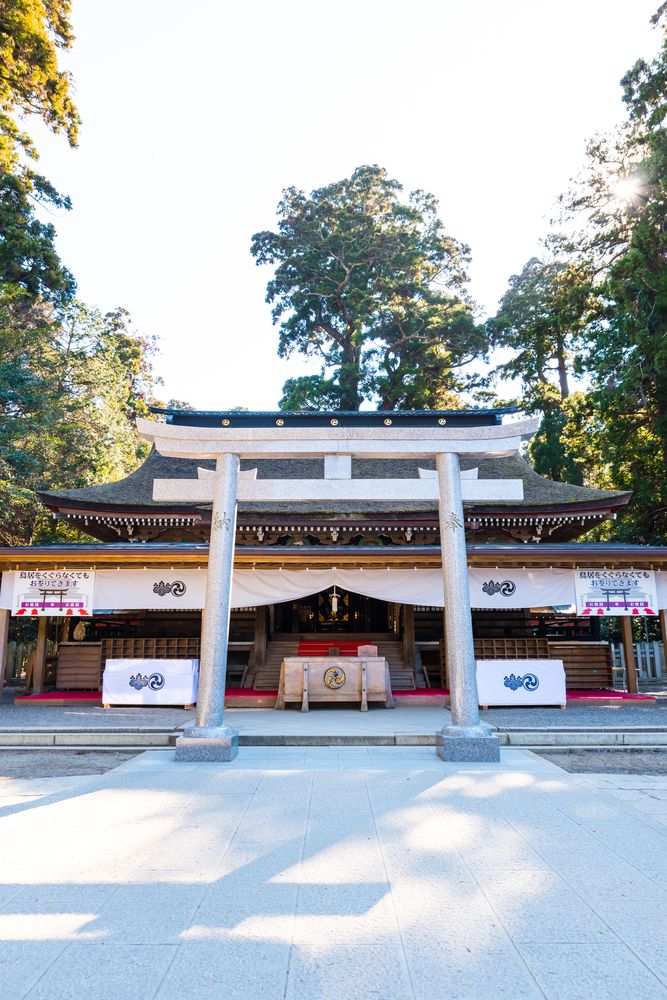 愛品館江戸川店】行先板／千葉－鹿島神宮（成田回り）／新宿－鹿島神宮