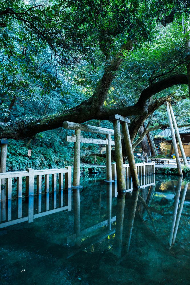 愛品館江戸川店】行先板／千葉－鹿島神宮（成田回り）／新宿－鹿島神宮