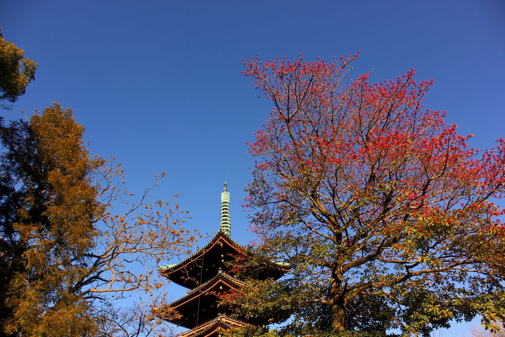 旧寛永寺五重塔の画像 - 3枚目