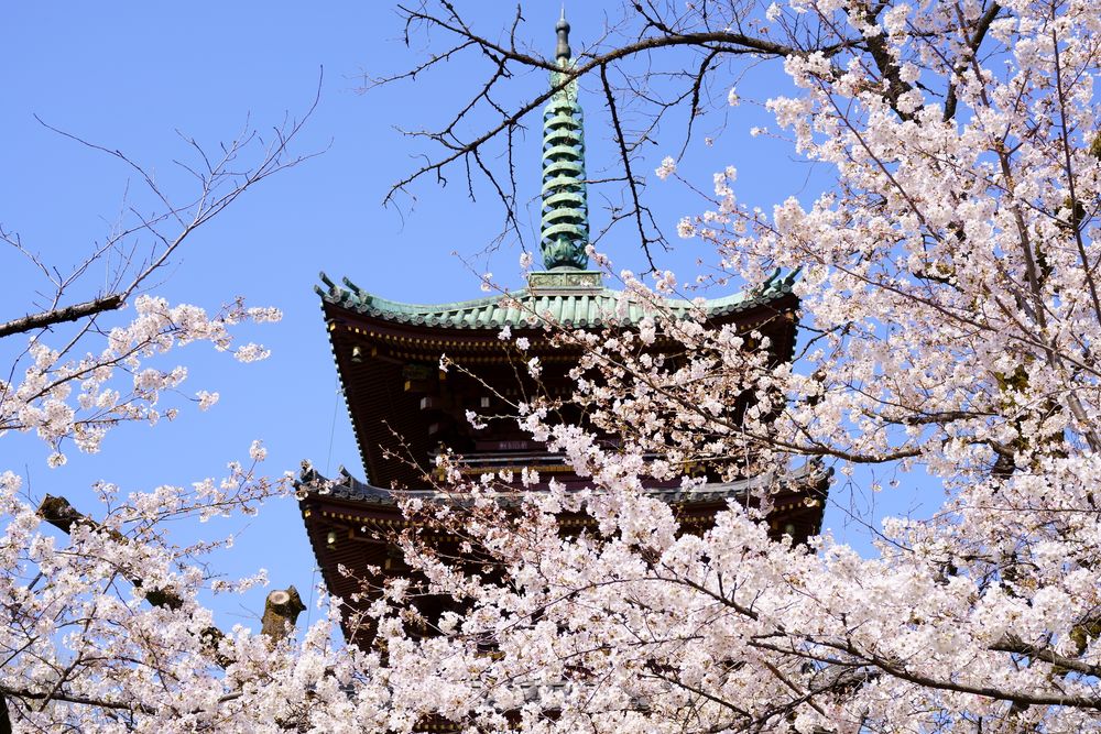 旧寛永寺五重塔の画像 - 5枚目