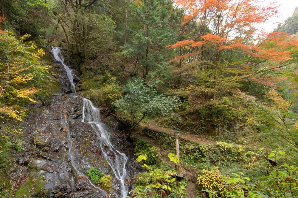 白岩の滝の画像 - 2枚目