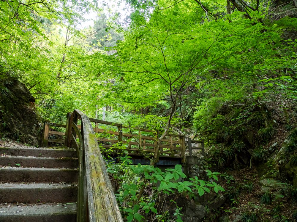 白岩の滝の画像 - 3枚目