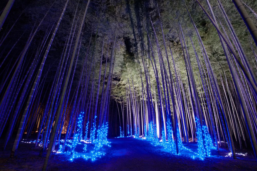 若竹の杜 若山農場】の周辺スポット・アクセス・口コミ - Prism Japan