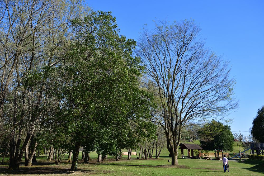 とちぎわんぱく公園の画像 - 3枚目