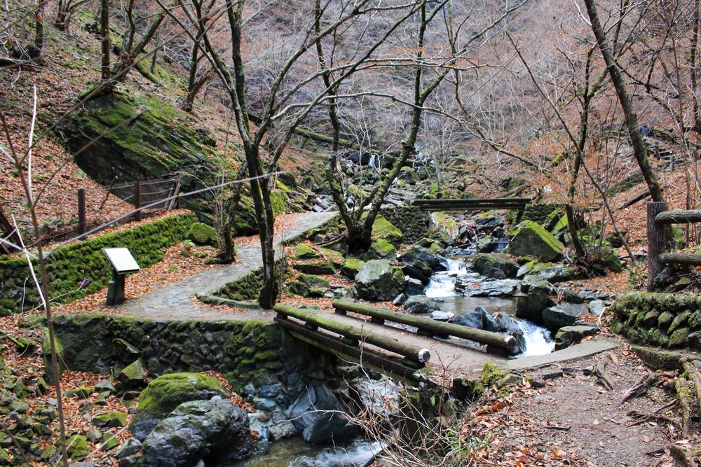 竜化の滝の画像 - 3枚目