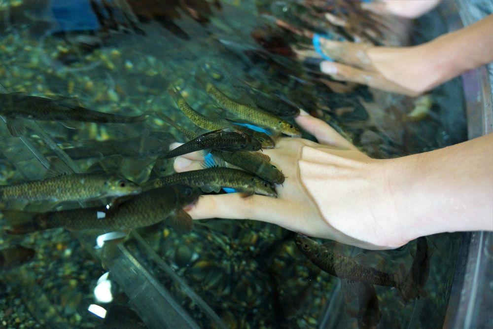 栃木県なかがわ水遊園の画像 - 4枚目