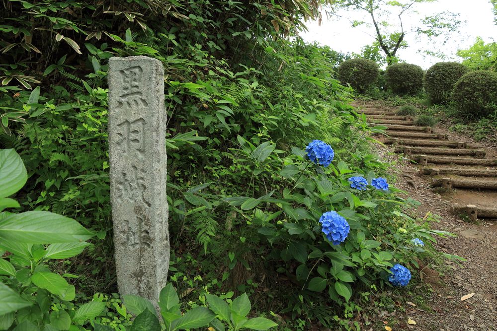 黒羽城址公園の画像 - 2枚目