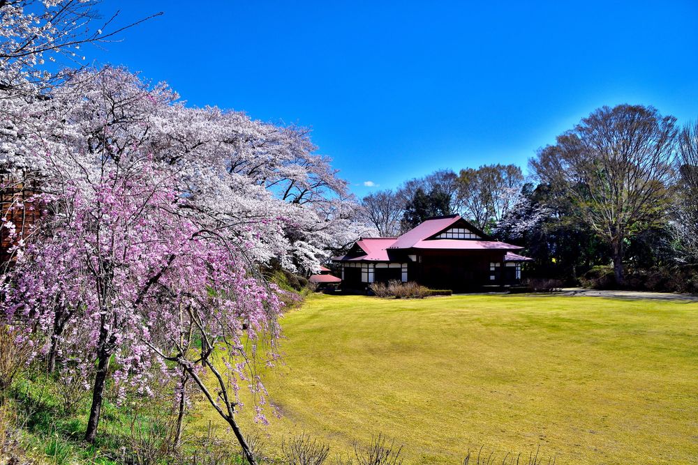 黒羽城址公園の画像 - 3枚目