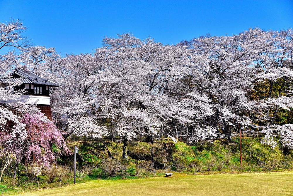 黒羽城址公園の画像 - 4枚目
