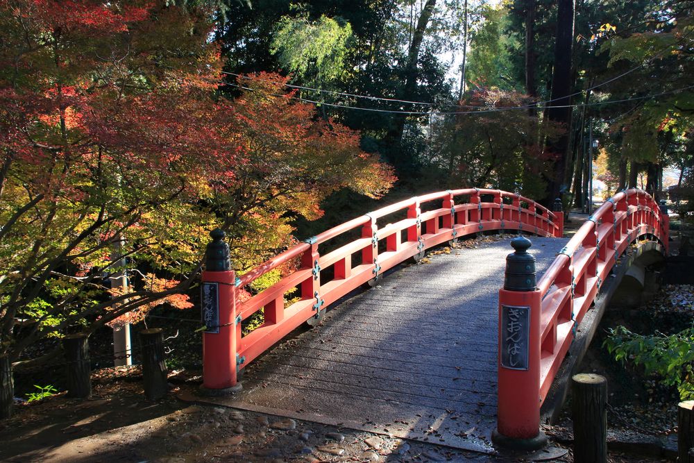 城山公園の画像 - 3枚目