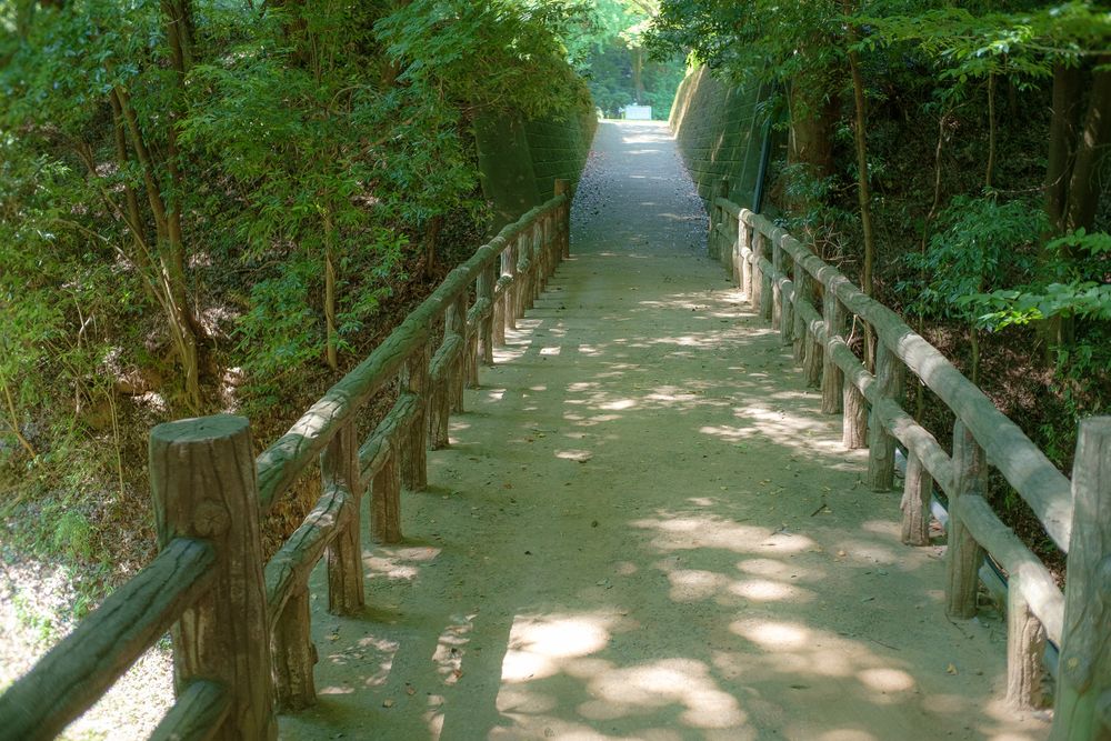城山公園の画像 - 5枚目
