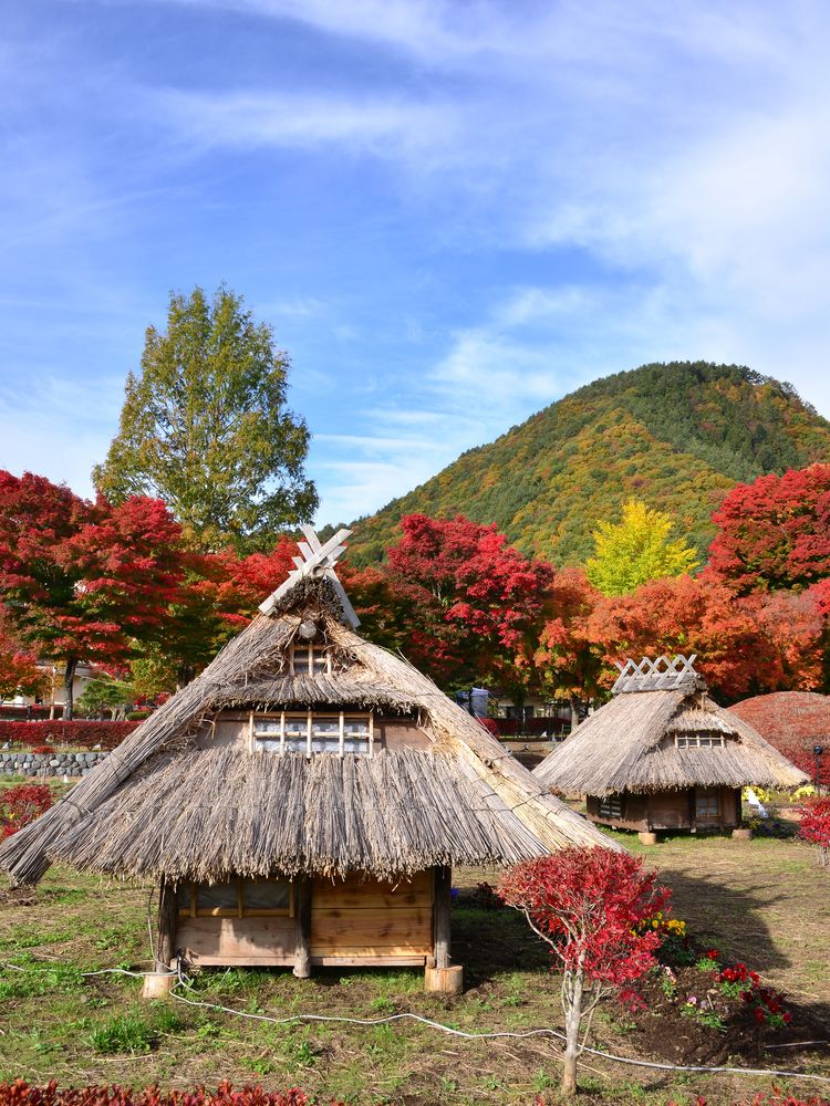 河口湖もみじ回廊の画像 - 3枚目