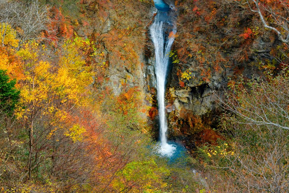 那須平成の森の画像 - 2枚目