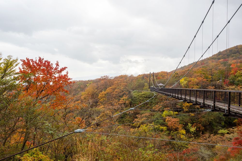 那須平成の森の画像 - 3枚目
