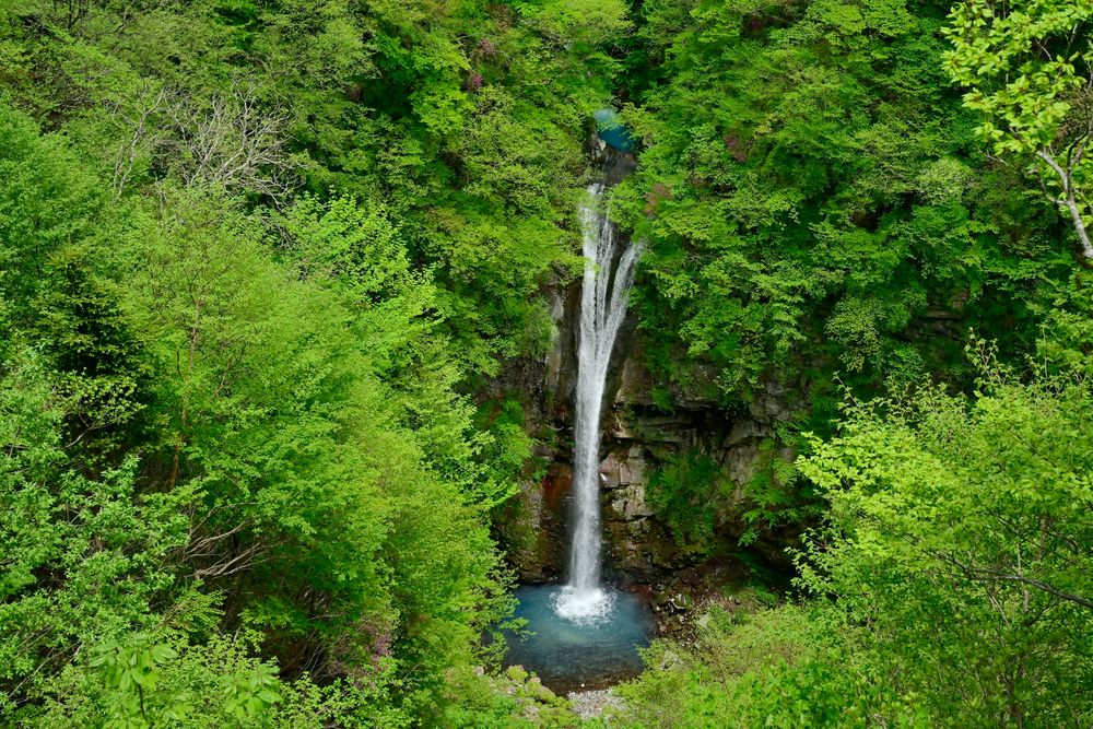 那須平成の森の画像 - 5枚目