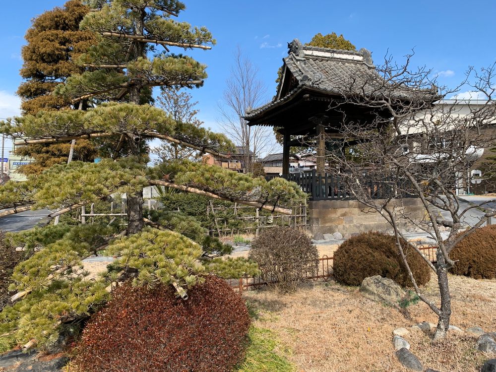 定願寺の画像 - 4枚目