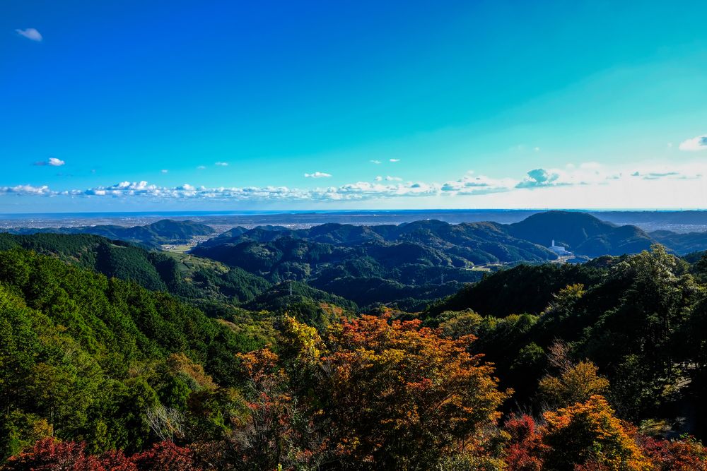 どうだん原の画像 - 2枚目