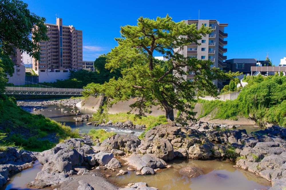 鮎壺の滝の画像 - 2枚目