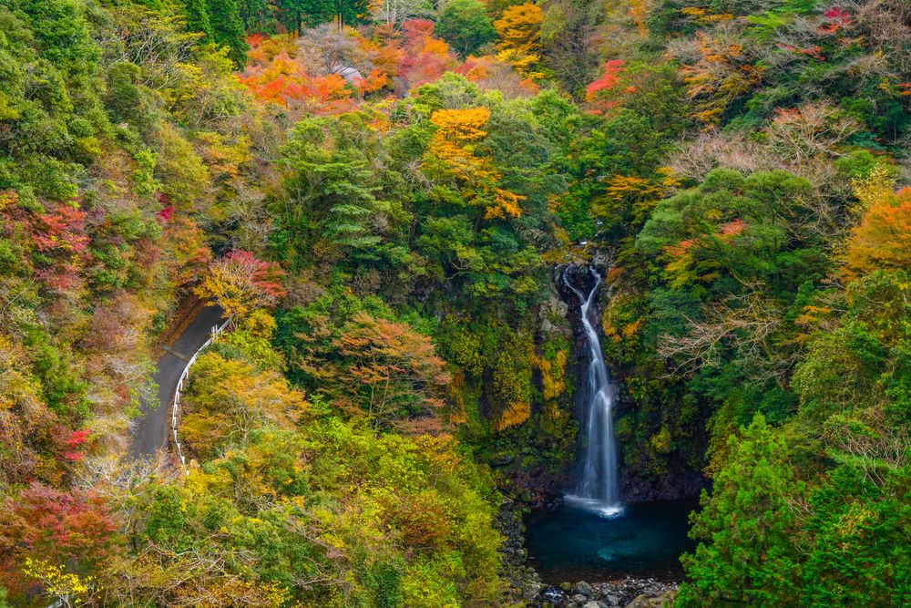 大棚の滝の画像 - 4枚目