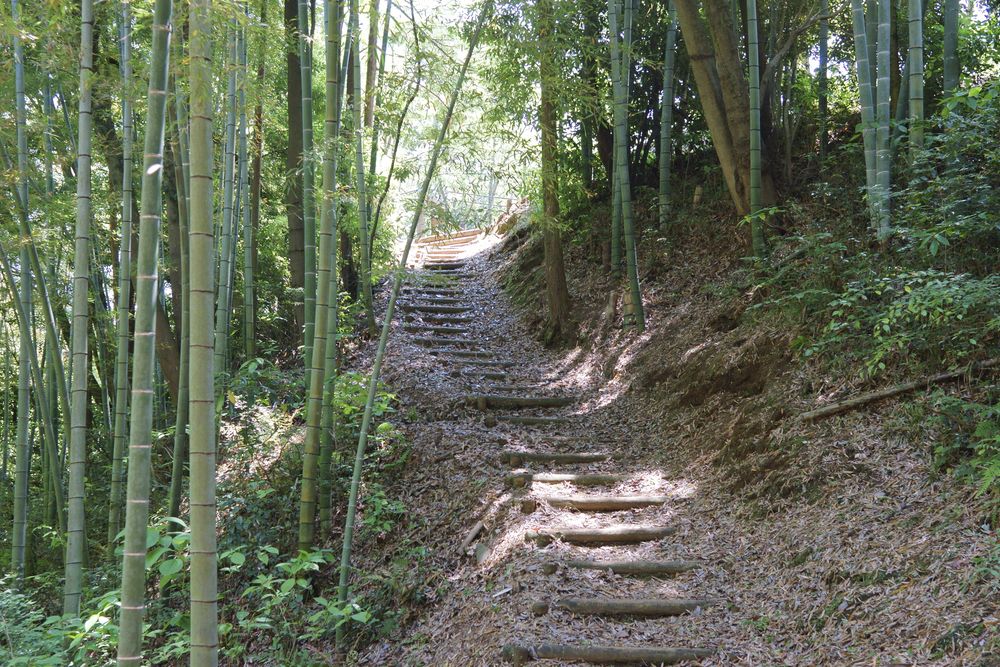 駿河平自然公園の画像 - 2枚目