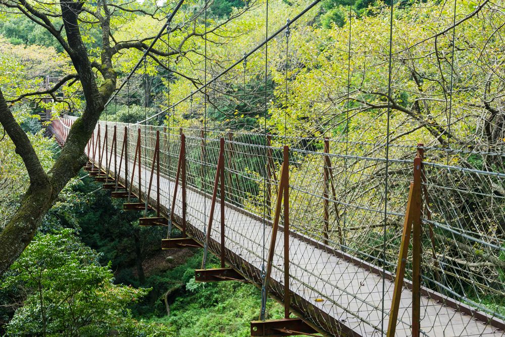 駿河平自然公園の画像 - 3枚目