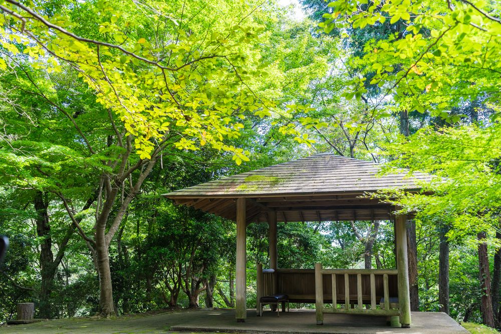 駿河平自然公園の画像 - 4枚目