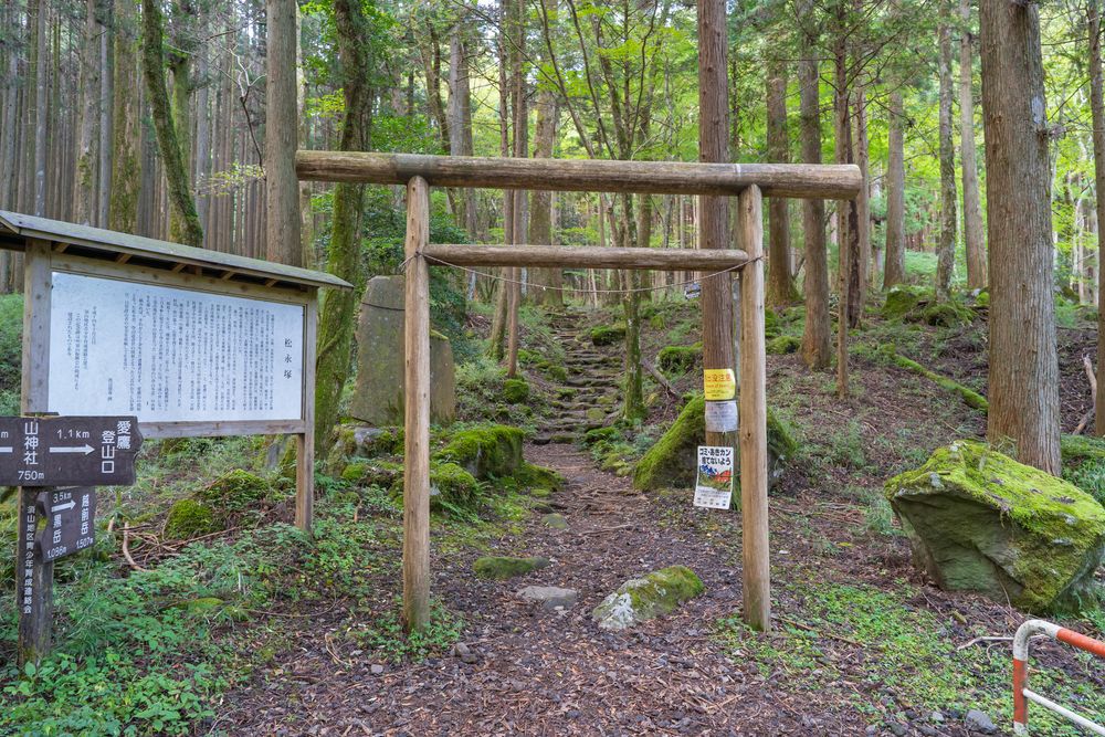 愛鷹山の画像 - 5枚目