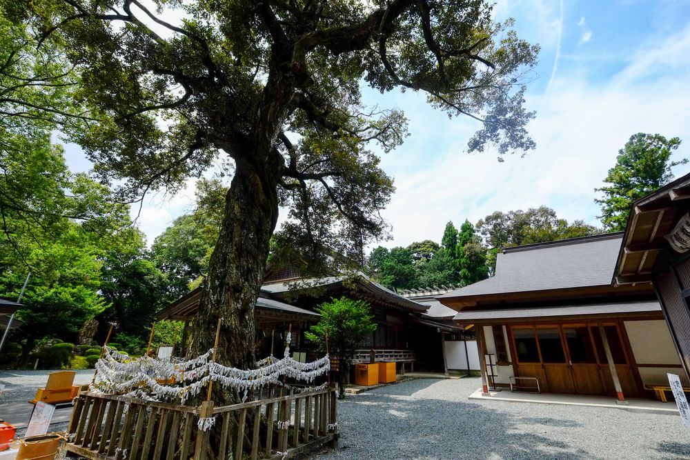 井伊谷宮の画像 - 4枚目