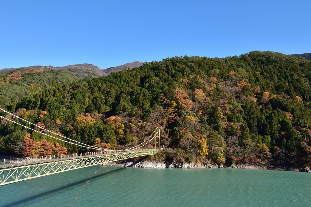 井川大橋の画像 - 3枚目
